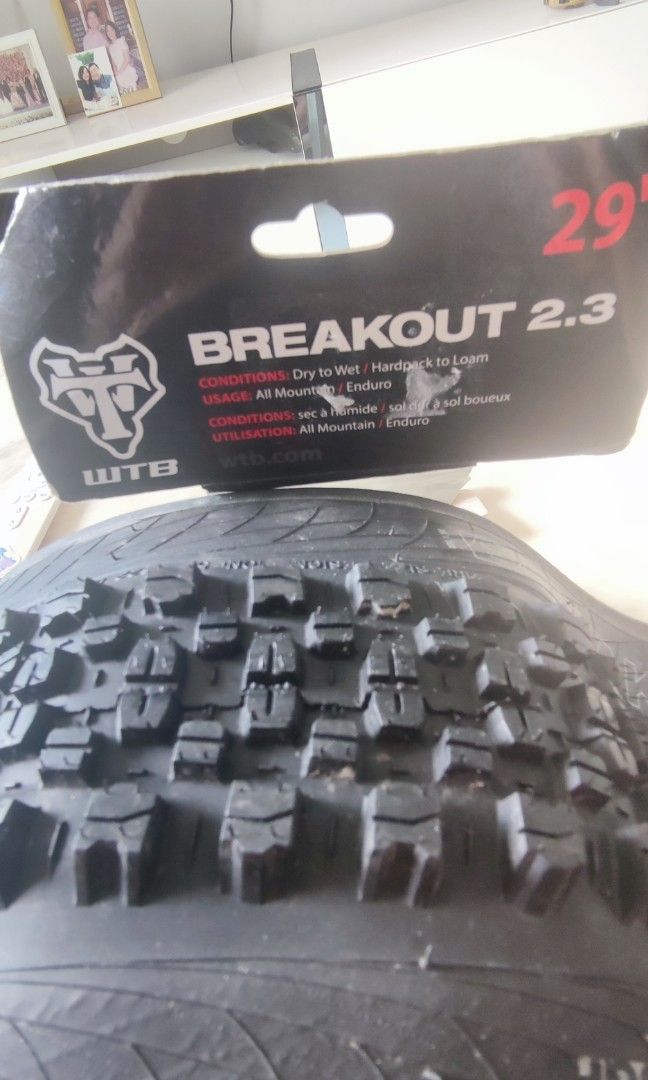 Wtb best sale breakout 29