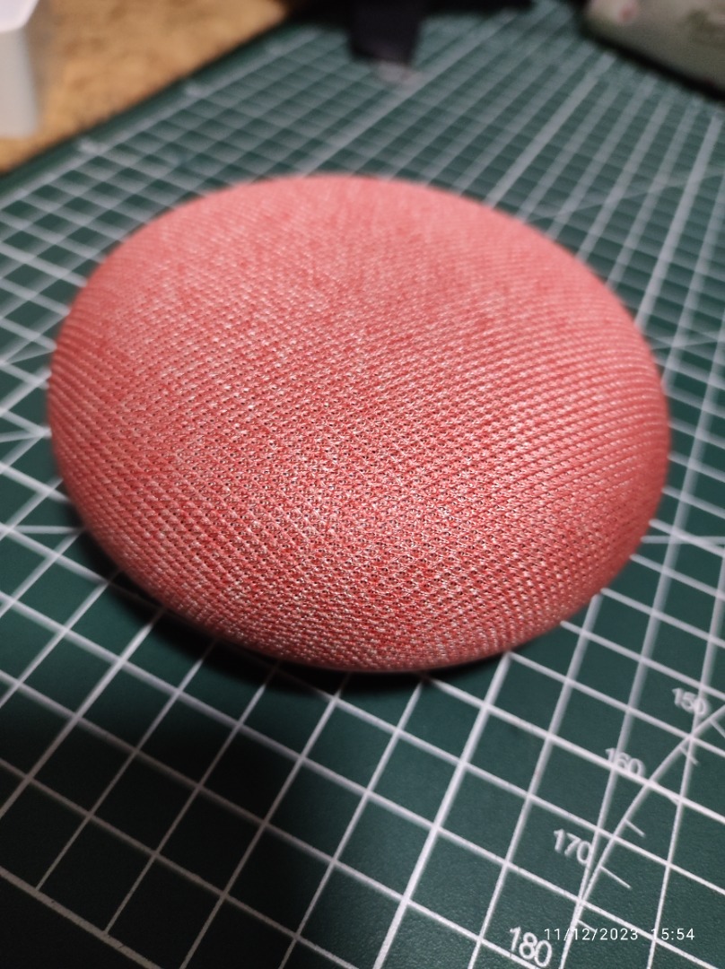 Google home coral 2025