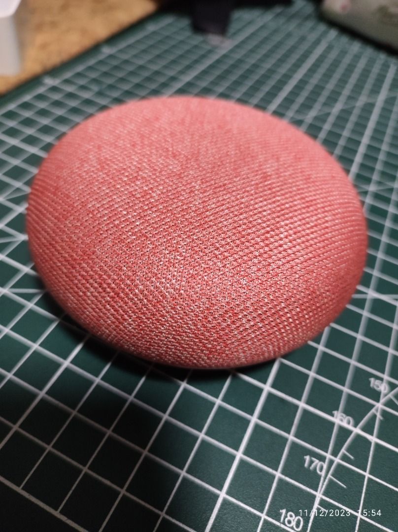 Coral clearance google home