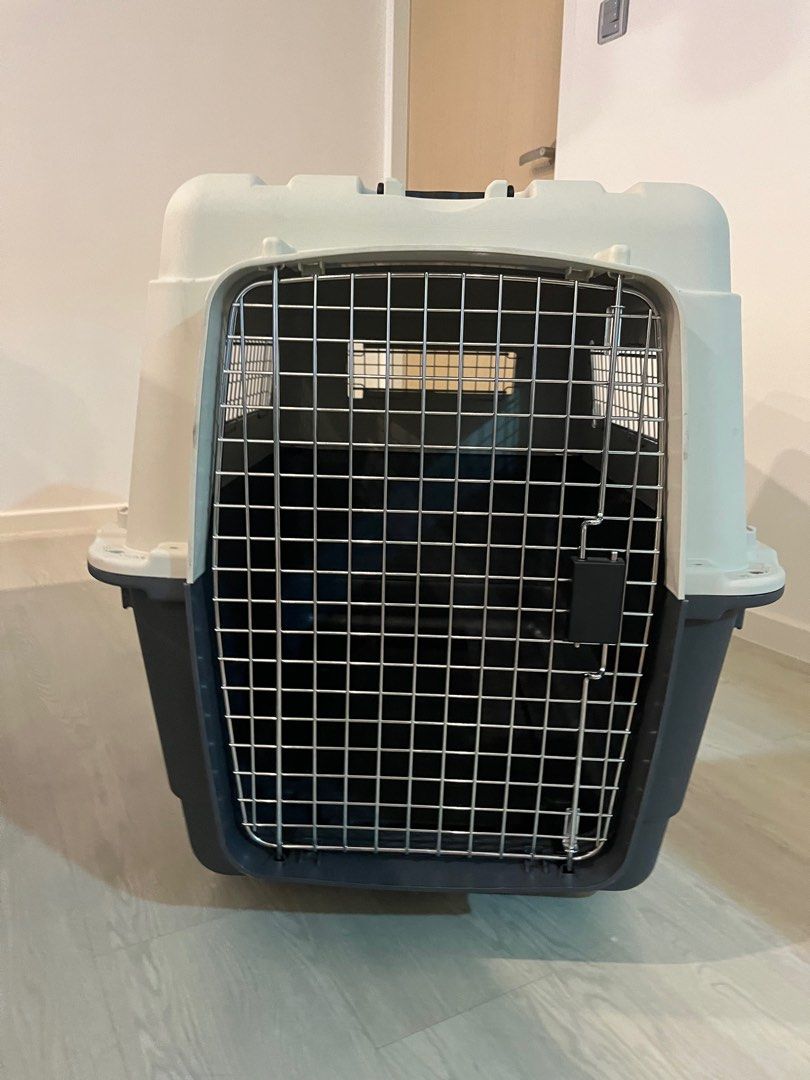 IATA Approved Pet Carrier XL, Pet Supplies, Homes & Other Pet