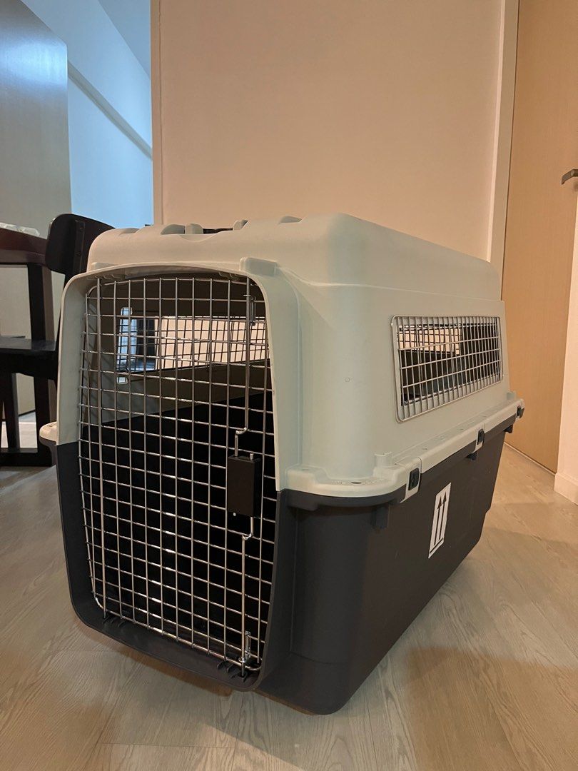 IATA Approved Pet Carrier XL, Pet Supplies, Homes & Other Pet