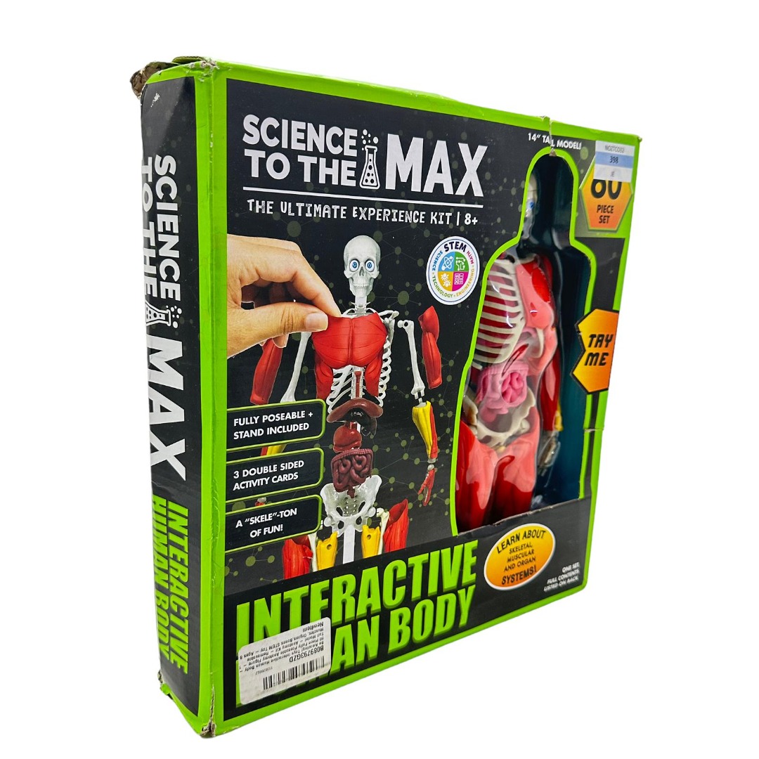 JE-Be Amazing! Toys 2331 Interactive Human Body - Fully Poseable ...