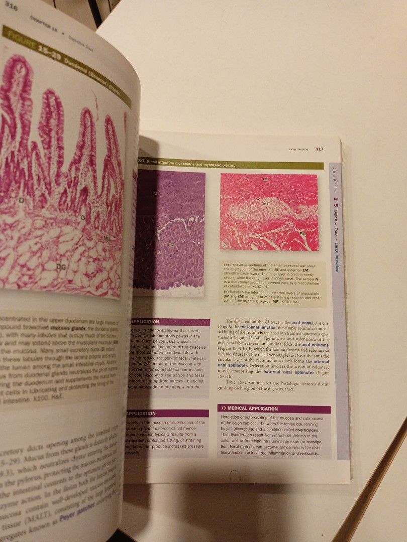 Junqueira s basic histology 13 th edition hobbies toys books