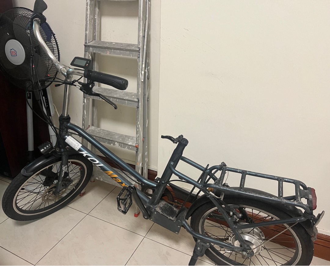 Elife royale electric bike review discount