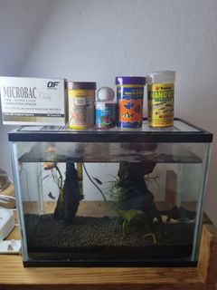 (Category: ) located in . Submitted by jaric.lee (Listing ID 1265232391, Image 1). Description: .