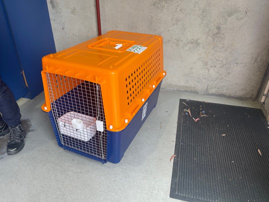 PP60 pet travel crate IATA approved. Only used once., Pet Supplies