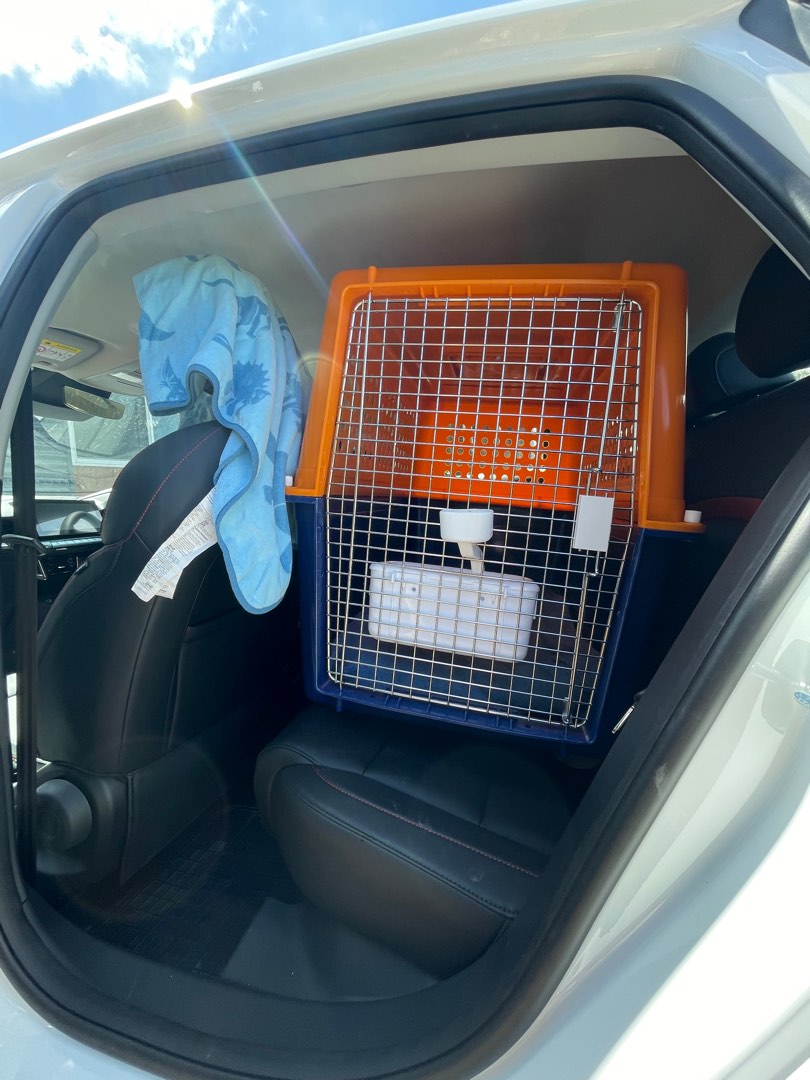 PP60 pet travel crate IATA approved. Only used once., Pet Supplies