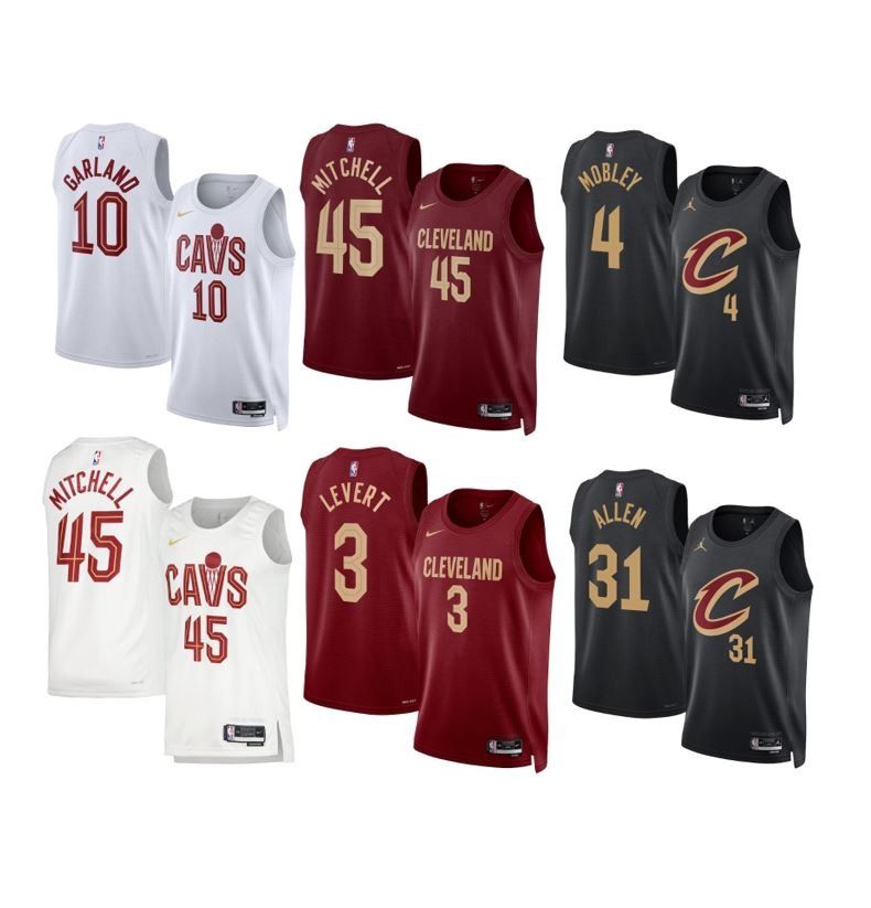 NBA Gray Cleveland Cavalier Basketball V Neck T Shirt Size XL 海外