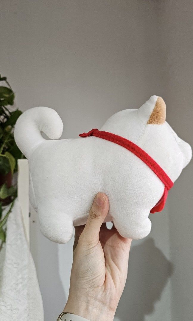 Shiba stuff outlet