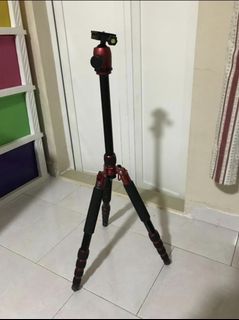 Tripod for camera