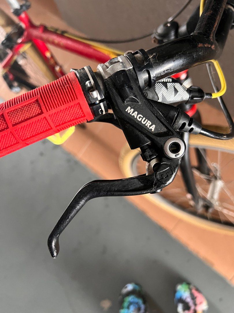 Bike schwinn 2025 eagle