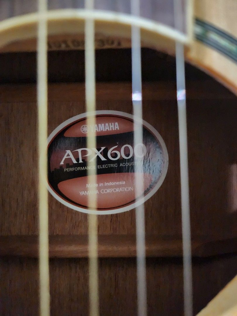Used online yamaha apx600