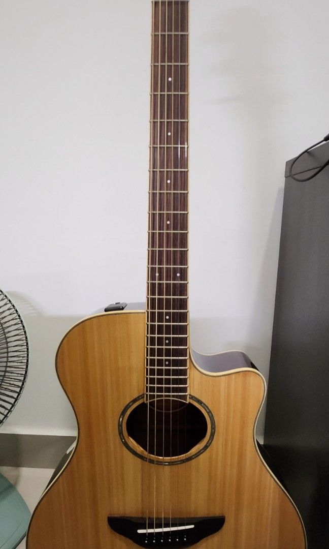 Used online yamaha apx600