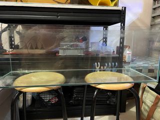 (Category: ) located in . Submitted by alwaysq (Listing ID 1265529454, Image 1). Description: .