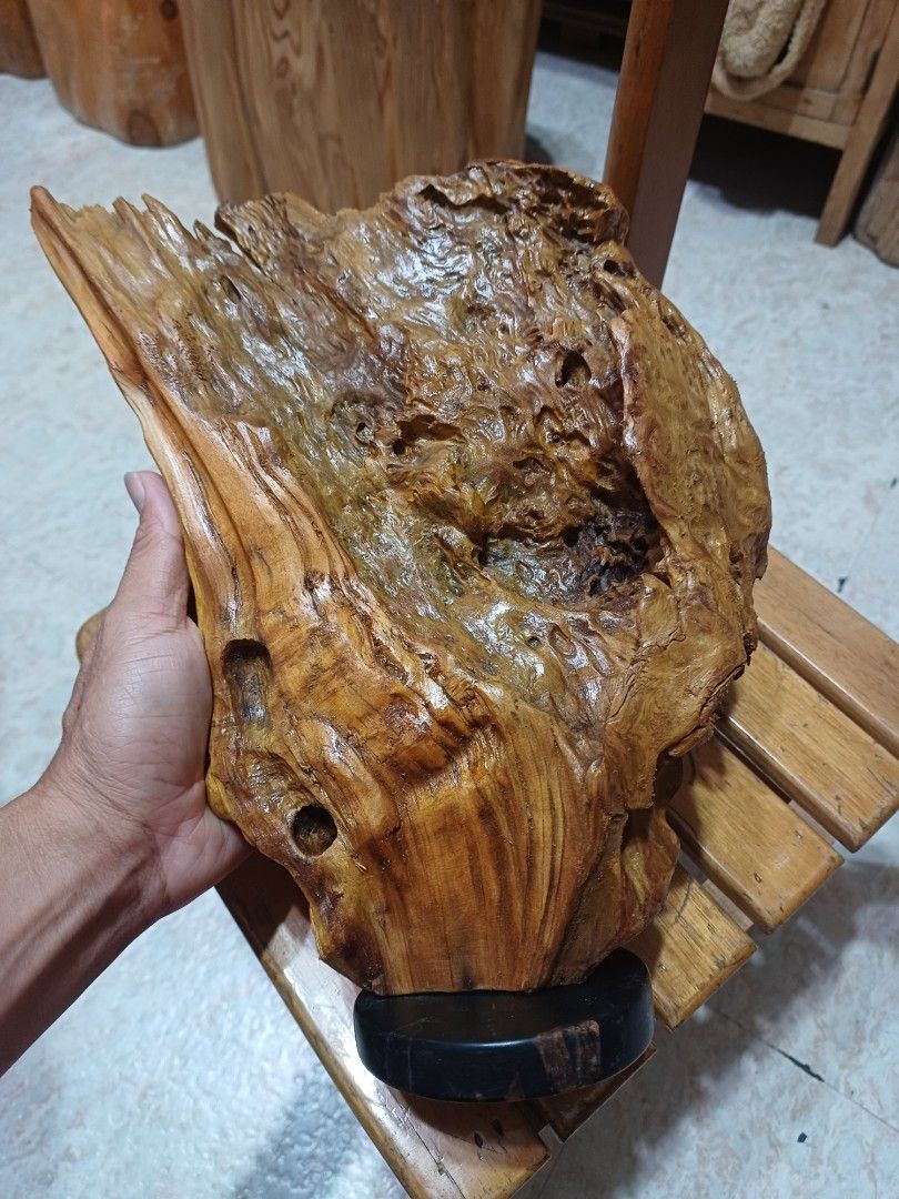 台灣香杉樹瘤原木木頭擺飾擺件文創自然風化, 書籍、休閒與玩具