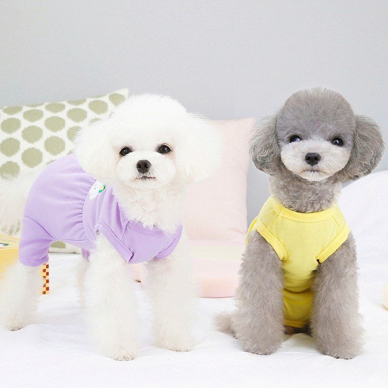 🔥 BN Recovery Suit Breathable Pet Dog Anti Licking Surgery