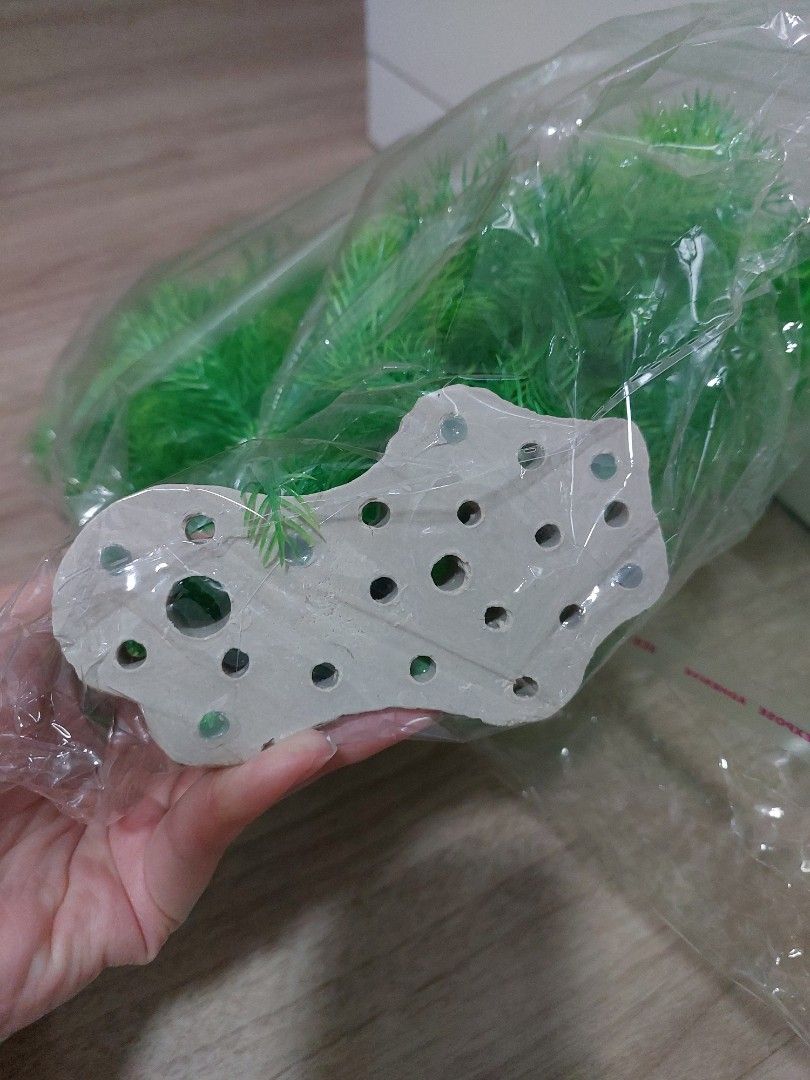 View of Aquatic plant, Pet Supplies, Homes & Other Pet Accessories on Carousell
