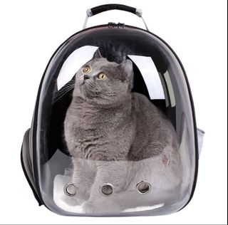 (Category: ) located in . Submitted by humannity (Listing ID 1265453370, Image 1). Description: .