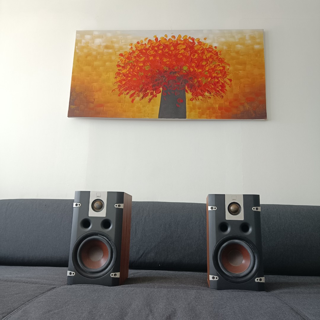 Dali Lektor 2 - legendary bookshelf speakers in fantastic condition 