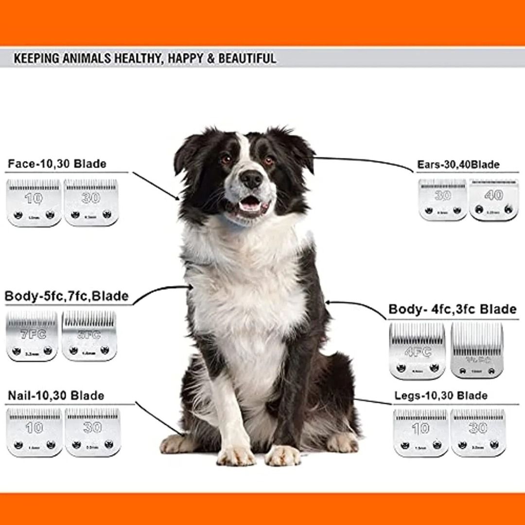 Dog Grooming Clipper Replacement Blades Compatible with Andis Wahl Oster Dog Clippers Detachable Stainless Steel Blade Carousell