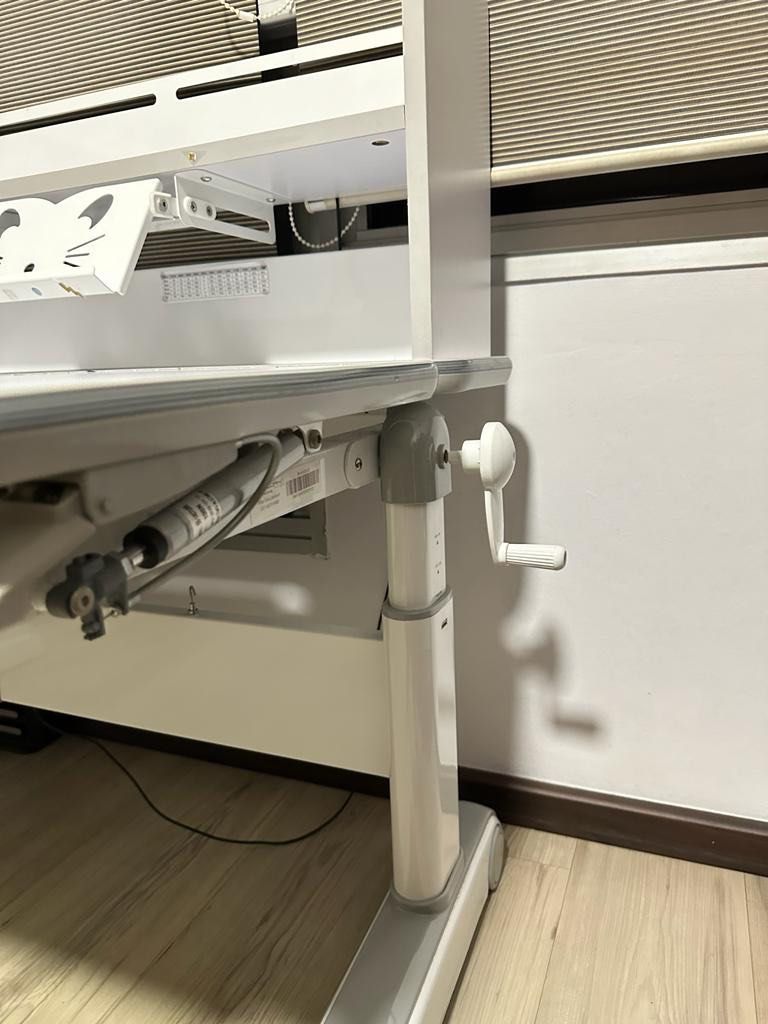 Ergoworks Study Desk for kids, Babies & Kids, Baby Nursery & Kids ...