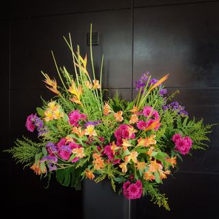(Category: ) located in . Submitted by etoileflowers (Listing ID 1265536698, Image 1). Description: .
