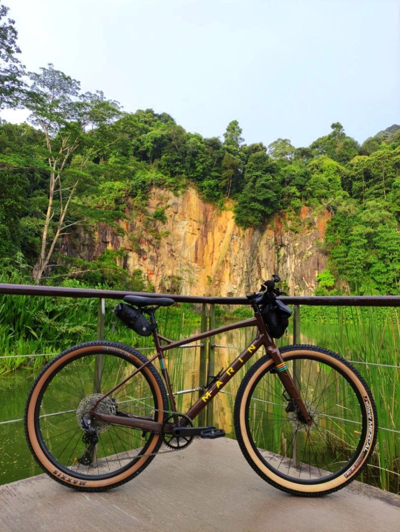 2021 marin dsx best sale 2