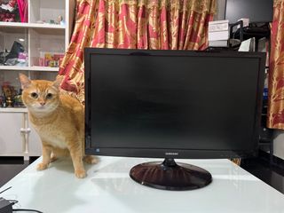 (Category: ) located in . Submitted by firdauzfirhat (Listing ID 1265365033, Image 1). Description: .