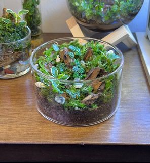 (Category: ) located in . Submitted by BUIISHII (Listing ID 1265530845, Image 1). Description: .