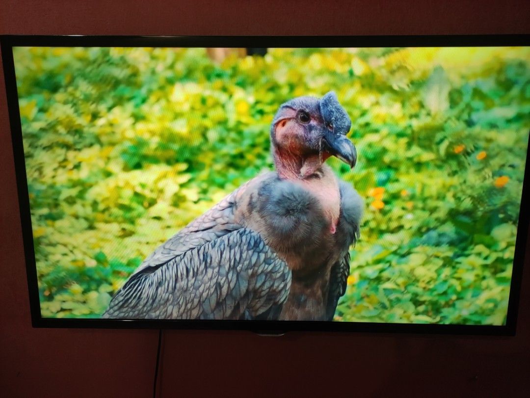 TV Samsung 40 Smart Tv TV Home Appliances TV Entertainment TV tv-samsung-40-smart-tv-tv-home-appliances-tv-entertainment-tv