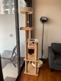 (Category: ) located in . Submitted by movinghouseasap (Listing ID 1265505141, Image 1). Description: .