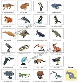 Furuta Gashapon - Capsule Toy : Animal Series5 (Set of 24+1)