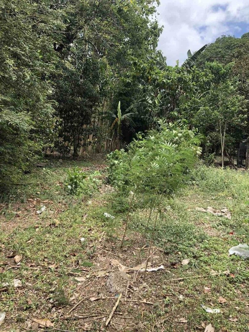 Lot at Balayan, Batangas, Property, For Sale, Lot on Carousell