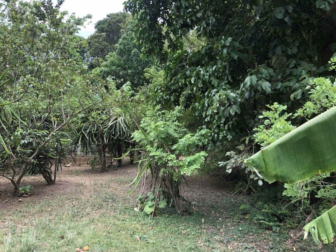 Lot at Balayan, Batangas, Property, For Sale, Lot on Carousell