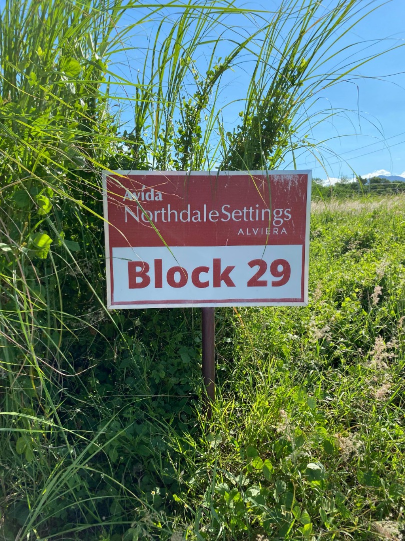 RUSH SALE! Premium Lot in Northdale Settings Alviera, Pampanga