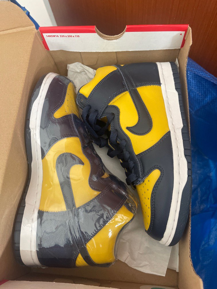 sb dunk michigan