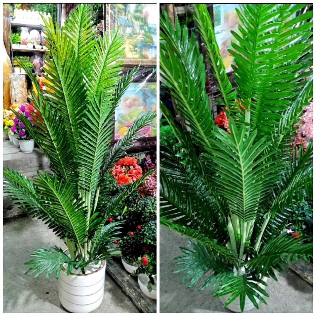 Palmera 4 ft 5 ft Artificial Plant with Vase, Furniture & Home Living