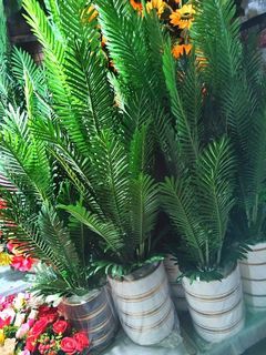 Palmera 4 ft  5 ft Artificial Plant with Vase