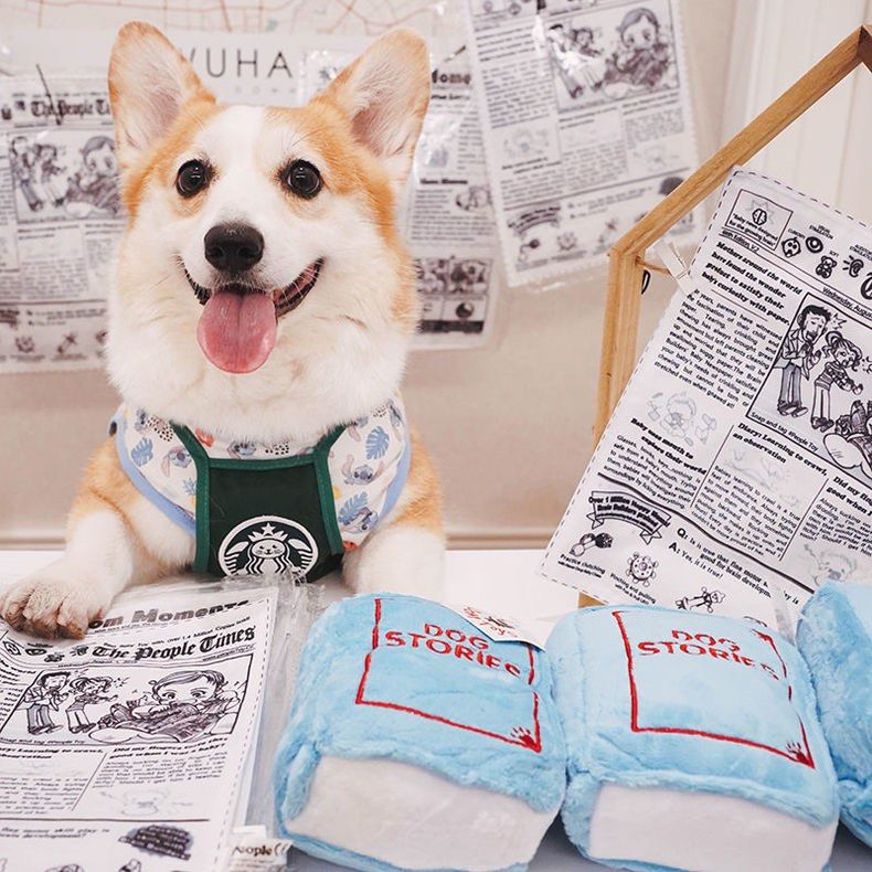 Squeaky newspaper discount dog toy