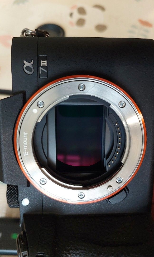 Sony A73 A7iii Camera Body, Photography, Cameras on Carousell
