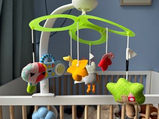 (Category: ) located in . Submitted by starlightpleco (Listing ID 1265576869, Image 1). Description: .