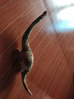 Toy Dinosaur