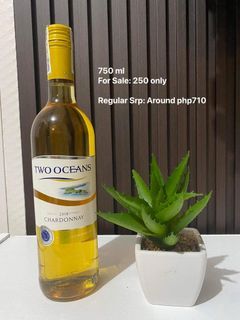 Two Oceans Wine 2018 Chardonnay