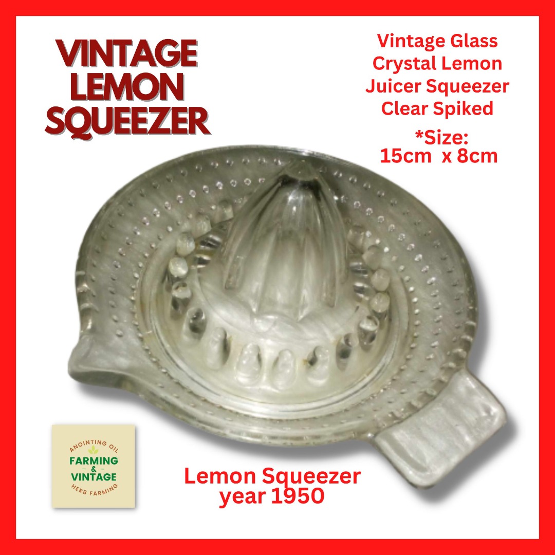 Vintage Glass Squeezer Crystal Lemon Juicer Squeezer Clear Spiked