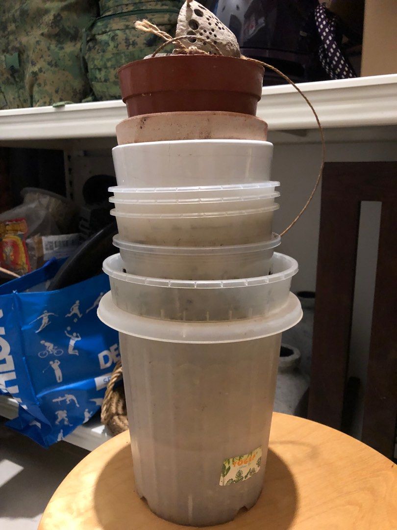 10x plant Pots plastic ceramic, Furniture & Home Living, Gardening