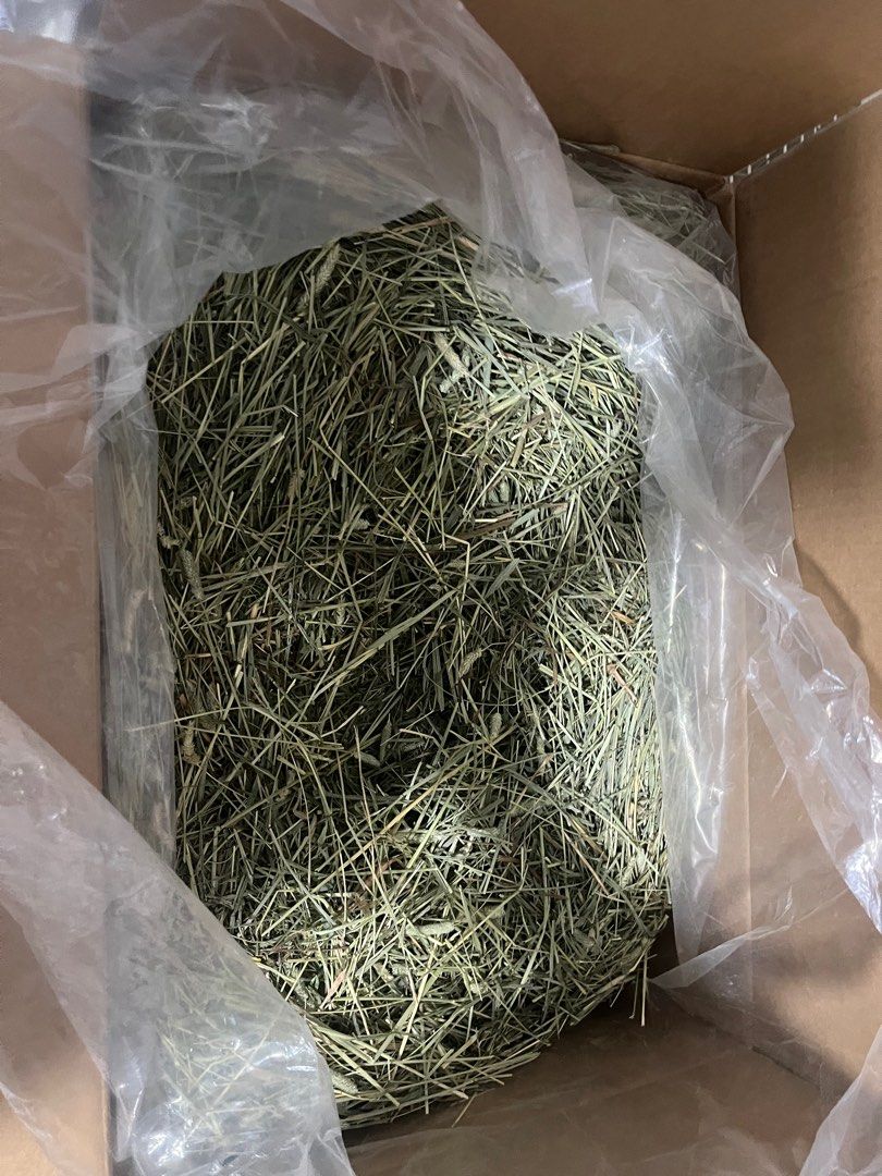 Apd Rabbit Hay APD Timothy gold hay, Pet Supplies, Pet Food on Carousell