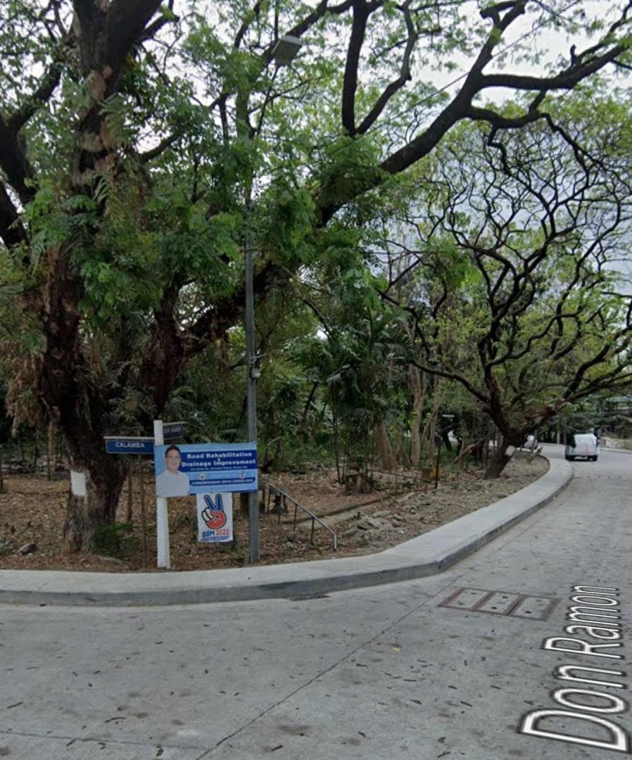 Big Lot for sale in Quezon city Banawe, Talayan Village Park, Sta. Mesa