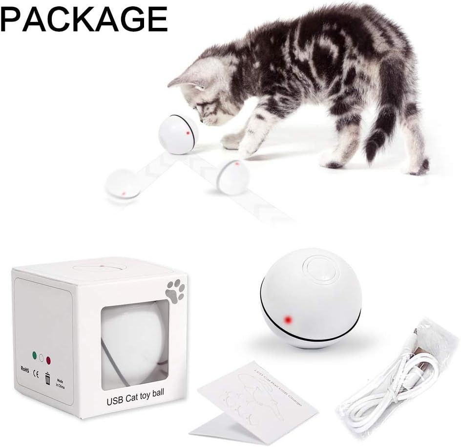 Bojafa professional pet supplies cheap