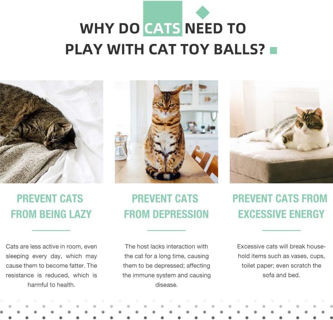 Bojafa professional pet supplies best sale