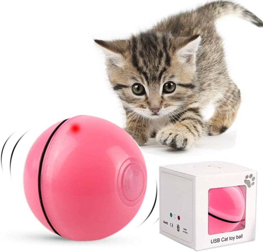 Cat ball chaser on sale toy